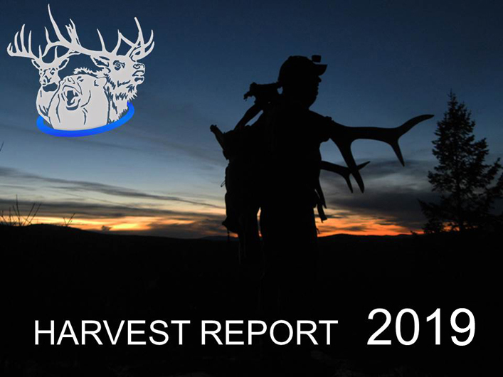 Hunt and outfitter experience 9