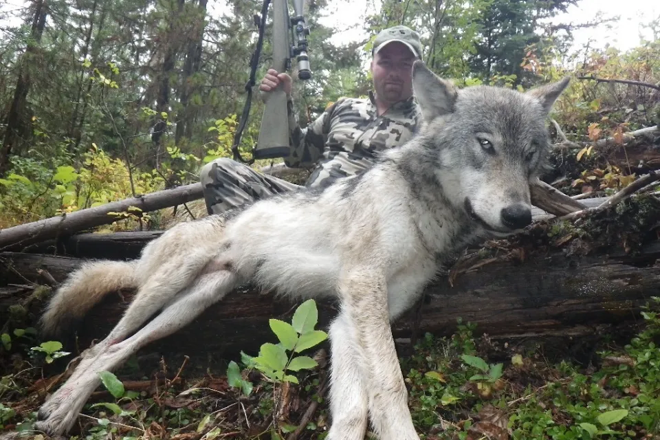 Montana hunt trophy 8